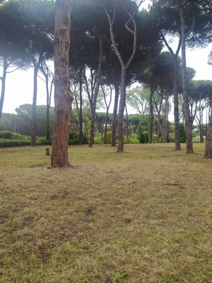 Attico Con Terrazza In Via Dei Traghetti Lägenhet Lido di Ostia Exteriör bild